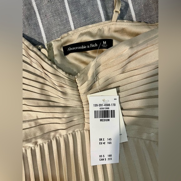 NWT! Abercrombie and Fitch Gisele Pleated Maxi Dress - Picture 12 of 12